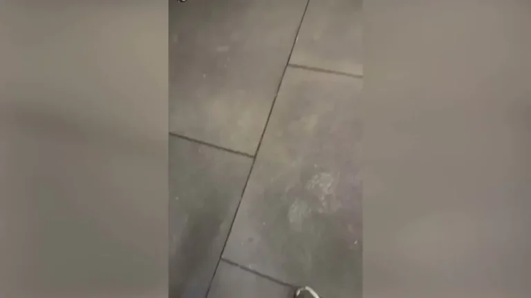 Scarpa Treina Forte na Academia: Preparação do Atlético-MG