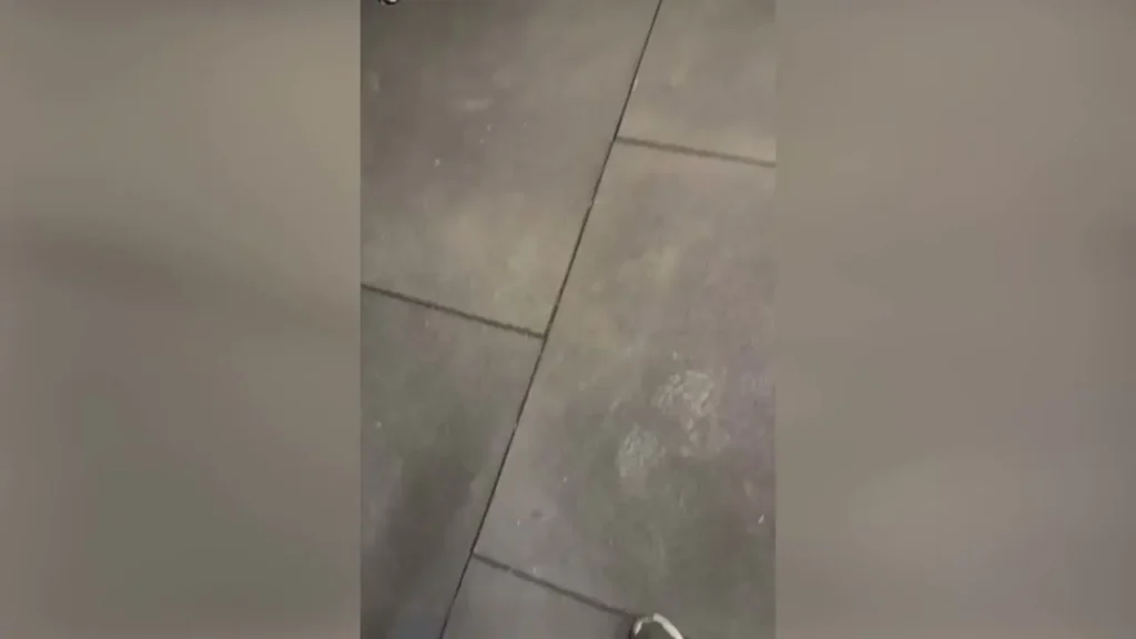 Scarpa Treina Forte na Academia: Preparação do Atlético-MG