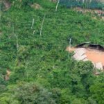 Sensor acessível monitorará qualidade do ar em Terras Indígenas Sensor acessível monitorará qualidade do ar em Terras Indígenas