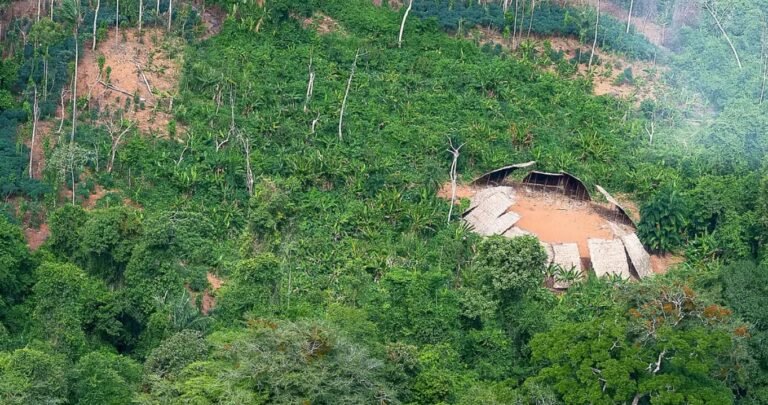 Sensor de baixo custo vai monitorar qualidade do ar em Terras Indígenas