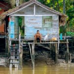 Sustentabilidade em Foco: Livro Grátis da USP Explora Dimensões Essenciais Sustentabilidade em Foco: Livro Grátis da USP Explora Dimensões Essenciais