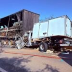 Tragédia na MG-428: Pai e filho perdem a vida em colisão