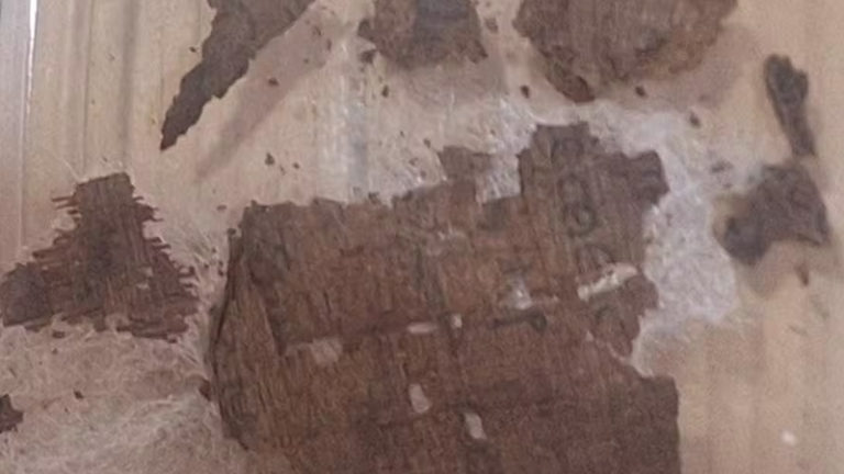 Trecho da Ilíada de Homero Revelado em Múmia Egípcia