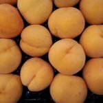 Três frutas brasileiras entre as 100 melhores do mundo; descubra quais