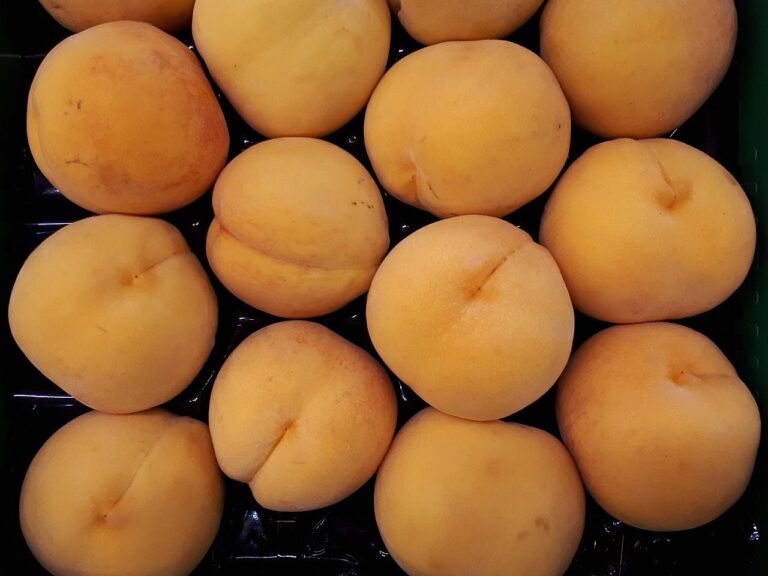 Três frutas brasileiras entre as 100 melhores do mundo; descubra quais