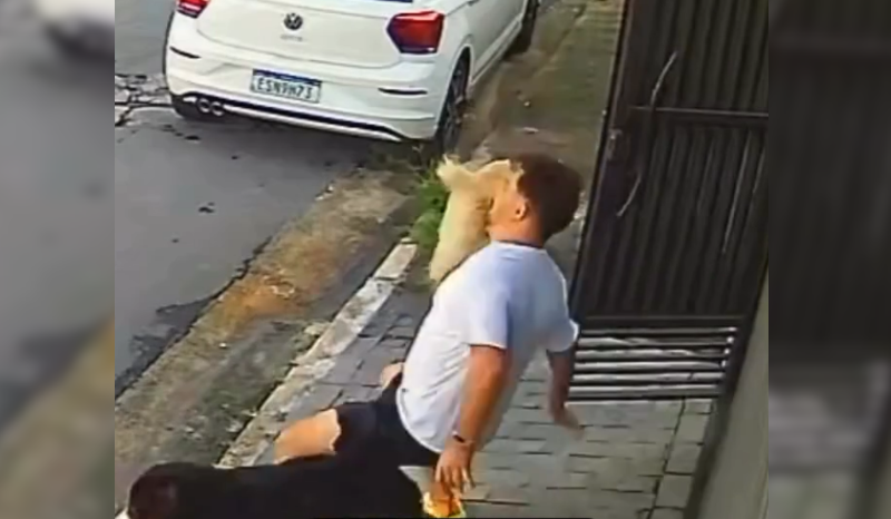 cachorro animado dá 'rasteira' no tutor ao sair de casa para a rua