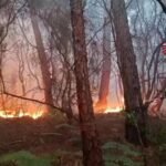 Itália evacua 3.500 pessoas devido a incêndios na Toscana