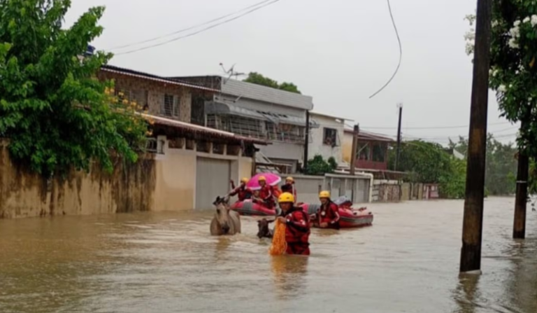 Pernambuco decreta emergência após chuvas; deslizamento mata mulher e bebê