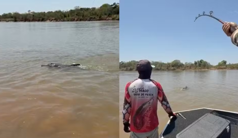 guia pesca boto-do-Araguaia acidentalmente durante pescaria
