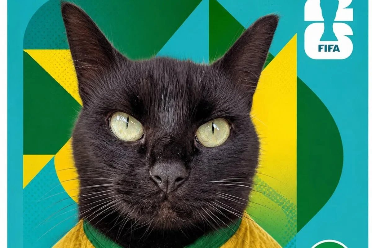 Gato vidente que acertou jogos do Brasil faz novo palpite contra Japão