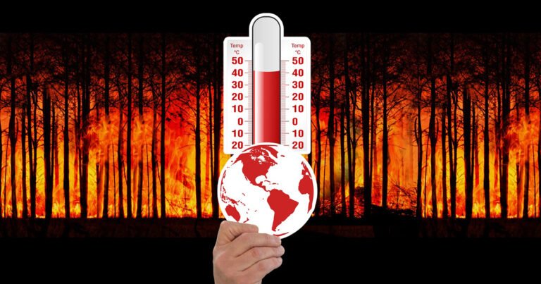 USP e Secretaria Municipal de Saúde selecionam estudantes para o PET-Saúde Clima – Jornal da USP
