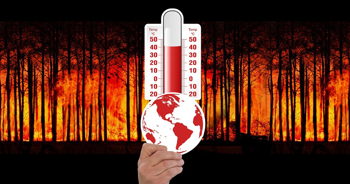 USP e Secretaria Municipal de Saúde selecionam estudantes para o PET-Saúde Clima – Jornal da USP