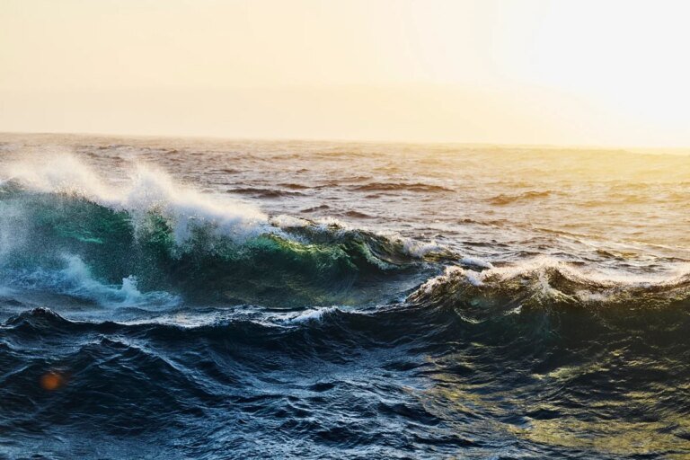 Oceanos registram recorde de temperatura para junho