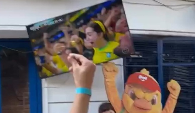 Torcedor com 'Canarinho Pistola' derruba TV durante jogo do Brasil; VEJA