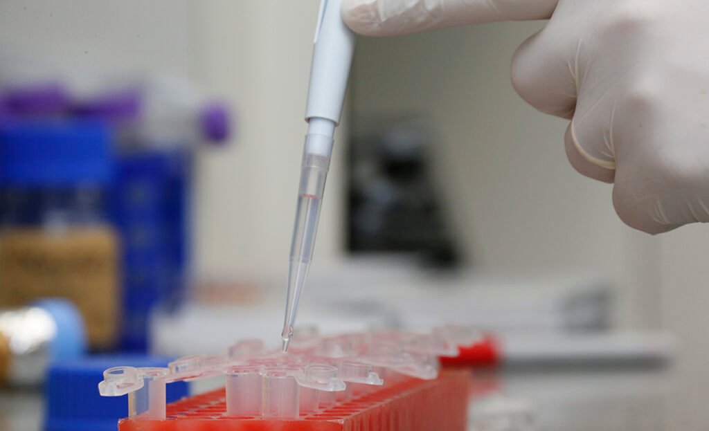 Os benefícios ambientais e produtivos do uso dos bioinsumos na atividade agrícola – Jornal da USP