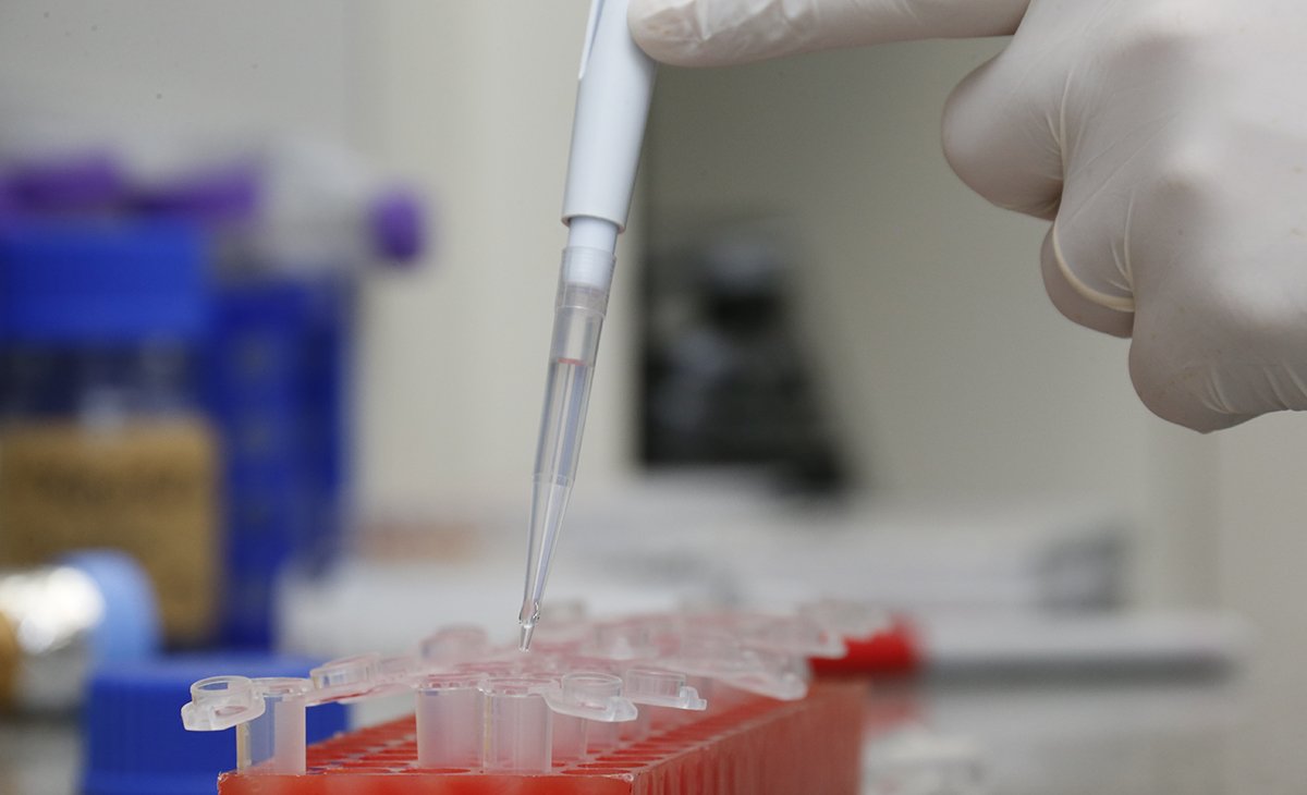 Os benefícios ambientais e produtivos do uso dos bioinsumos na atividade agrícola – Jornal da USP