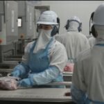 Brasil atinge limite de exportação de carne bovina para a China