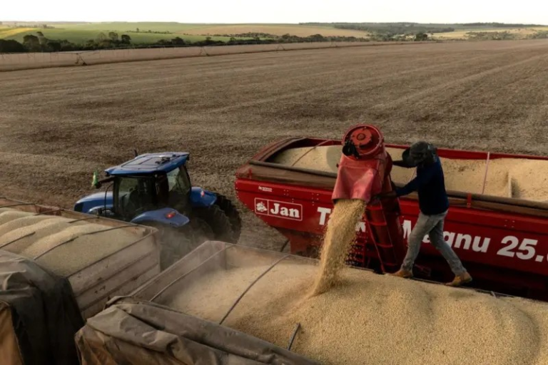 China busca alternativas agrícolas para reduzir dependência do Brasil