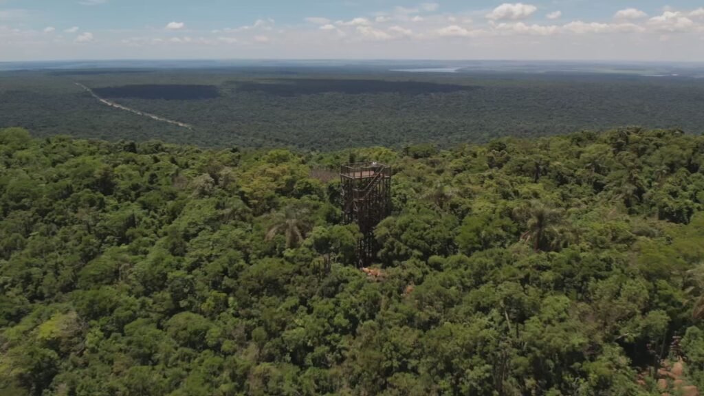 Descubra o Parque Estadual Morro do Diabo: Tesouro da Mata Atlântica