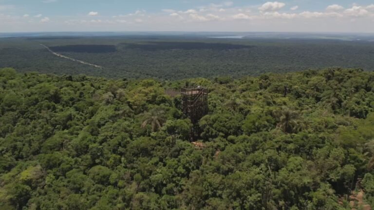 Descubra o Parque Estadual Morro do Diabo: Tesouro da Mata Atlântica