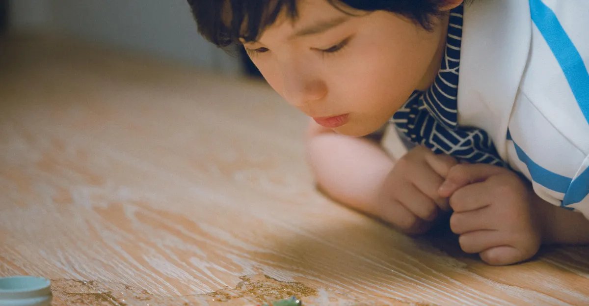 Entrevista com Hirokazu Kore-eda sobre 'Sheep in the Box'