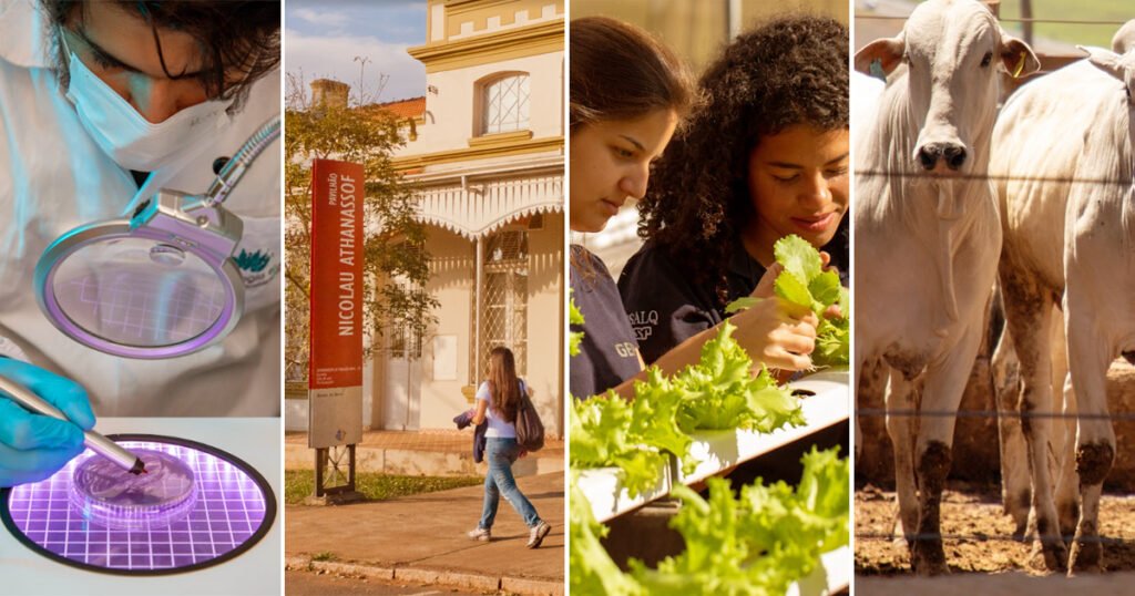 A escola que ajudou a moldar o campo brasileiro chega aos 125 anos – Jornal da USP