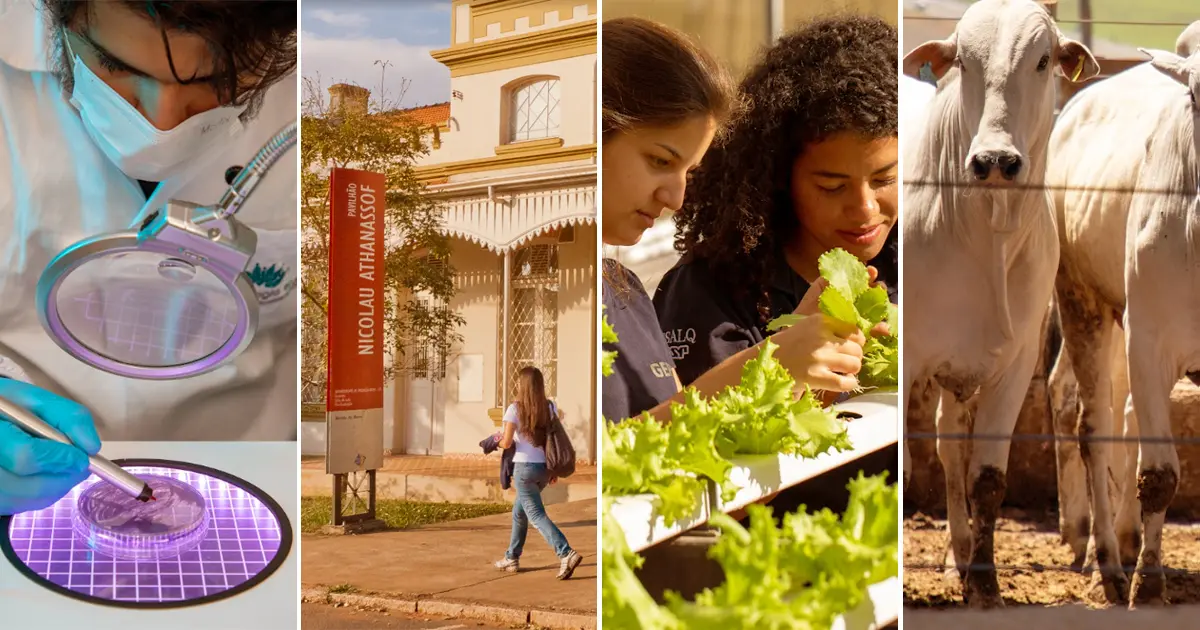 A escola que ajudou a moldar o campo brasileiro chega aos 125 anos – Jornal da USP