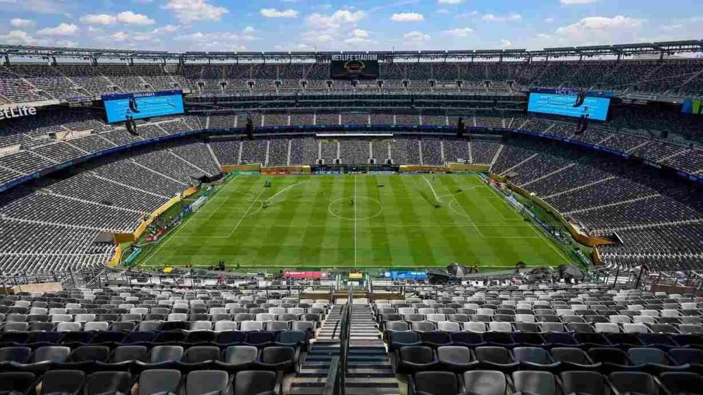 FIFA transforma gramado da final da Copa em item de coleção exclusivo