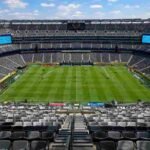 FIFA transforma gramado da final da Copa em item de coleção exclusivo