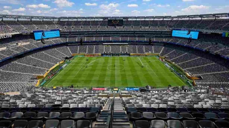 FIFA transforma gramado da final da Copa em item de coleção exclusivo