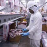 Impacto da redução nas exportações para a China no preço da carne