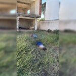 Pai da vítima encontra casal assassinado por vizinho no DF Pai da vítima encontra casal assassinado por vizinho no DF