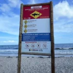 Pernambuco reativa monitoramento de tubarões após ataques recentes