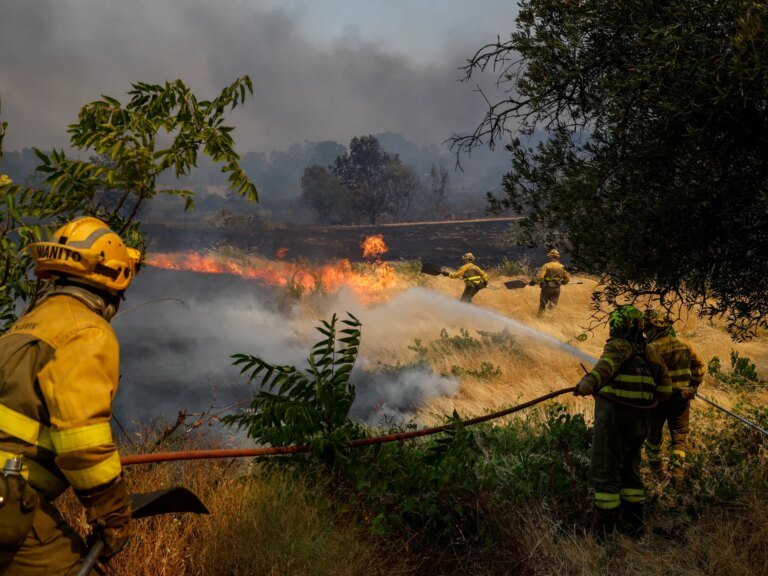 Polícia espanhola responsabiliza motorista de trator por incêndio florestal