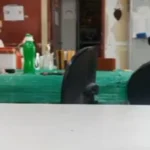 Professora expõe aluna colocando mercúrio em garrafa de água Professora expõe aluna colocando mercúrio em garrafa de água