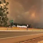 Queimadas no Brasil caem, mas São Paulo enfrenta aumento alarmante