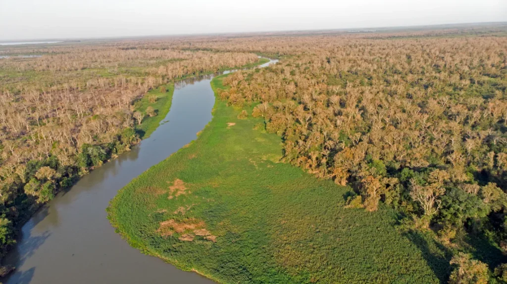 A Estação Ecológica do Taiamã, no Pantanal, foi afetada pelos incêndios de 2021.