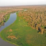 Unesp revela: Pantanal teve 80% das águas perdidas em 38 anos