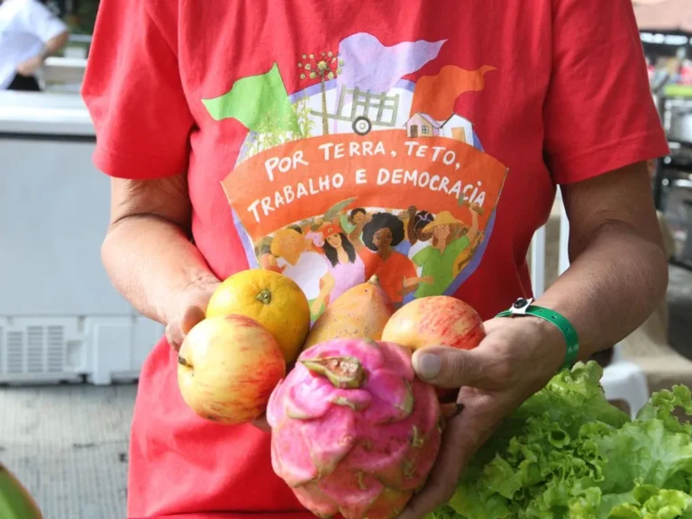 Foto de pessoa sem rosto com destaque para sua camiseta de fundo vermelho onde se lê: por terra, teto, trabalho e democracia. Nas mãos, a pessoa carrega maçãs, laranja e romã, alimentos produzidos em assentamentos da reforma agrária