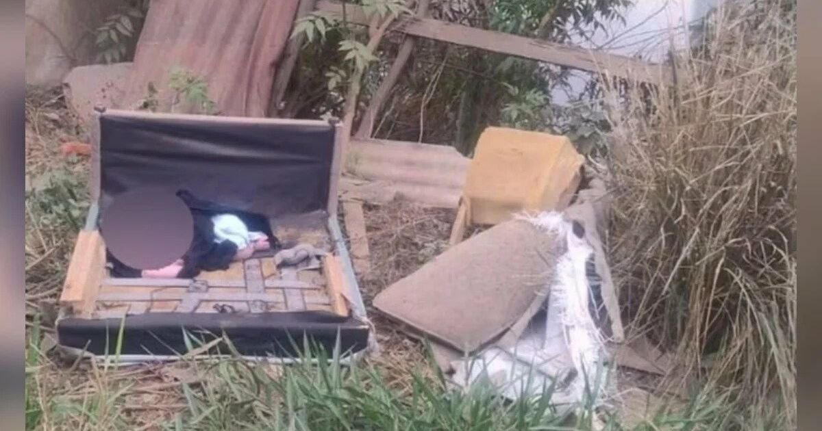 Latidos de cadela salvam recém-nascido abandonado em sofá velho