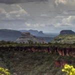 Rede brasileira de conservação do cerrado é premiada pela ONU