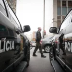 Adolescente é detido por tortura de 200 gatos em transmissões ao vivo