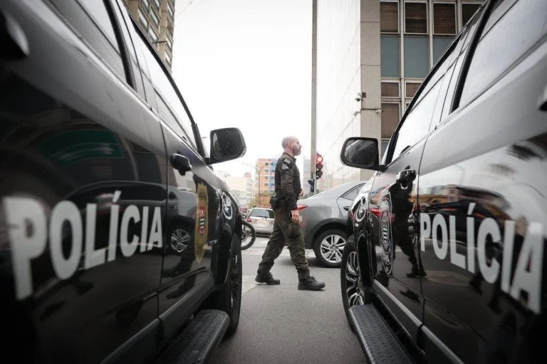 Adolescente é detido por tortura de 200 gatos em transmissões ao vivo