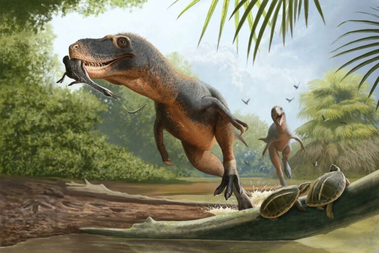Descoberta de pena em fezes de dinossauro revela evolução das aves