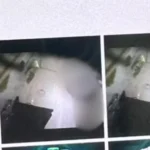 Funcionária de MG flagra gravação íntima no banheiro do trabalho