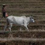 Mudanças climáticas e fome aumentam ameaças de conflitos globais Mudanças climáticas e fome aumentam ameaças de conflitos globais