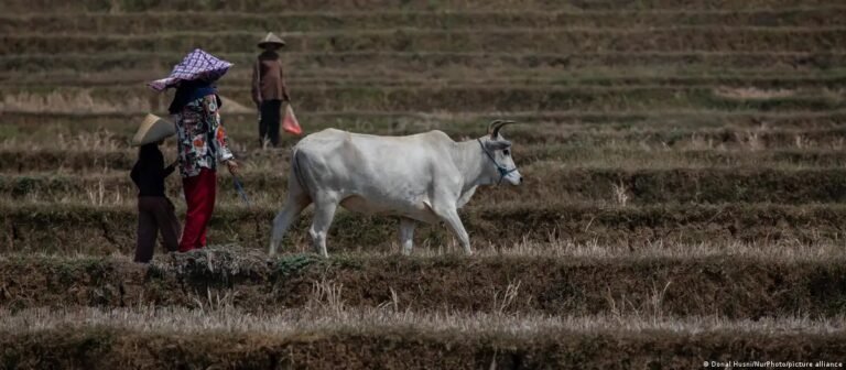 Mudanças climáticas e fome aumentam ameaças de conflitos globais