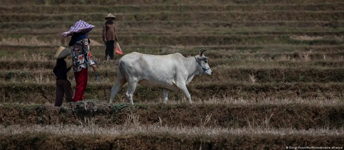 Mudanças climáticas e fome aumentam ameaças de conflitos globais