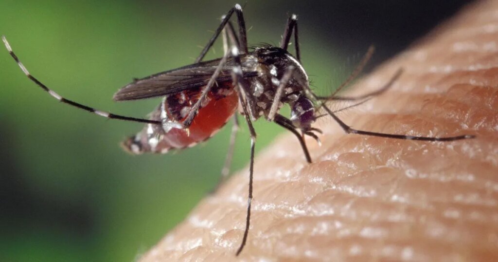 Surto de dengue persiste e Santarém prorroga emergência em saúde