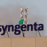 Syngenta solicita IPO visando arrecadar pelo menos US$5 bilhões